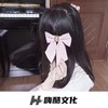 没有风格不被定义 (DJ版) - 李仙仙