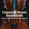 Eine Kleine Nachtmusik (A Little Night Music) - Wolfdieter Maurer&Wolfgang Amadeus Mozart
