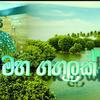 Maha Gangulak (feat. Dammika) - Thathnim Production&Dammika