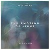 The Emotion of Light - Lemos