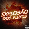 Explosão dos Fluxos (Explicit) - Mc Prr Felipinho&DJ Edu 013&DJ LEILTON 011&G7 MUSIC BR