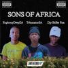 Sons Of Africa (feat. Djy Skiller Rsa & Eu.phonyDeepZA) - TebunatorSA&Djy Skiller Rsa&Eu.phonyDeepZA