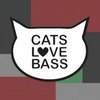 Back (Original Mix) - Vin Vega