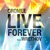 Live Forever[feat. Wrethov] (Acoustic Version) - Gromee&Wrethov