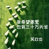 多希望家里也有三十万头羊 - 吴玖炎