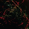 Alone in Da Sun - Beat Spacek
