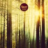 Tomorrow's Just Begun (Radio Edit) - Nause&Mr Hudson
