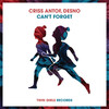 Can't Forget - Criss Antof&Desno