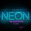 Up Side (Paul Oyk Remix) - Peter Mills