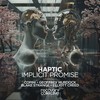 Requiem (Blake Strange Remix) - Haptic&Blake Strange
