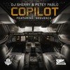 Copilot (Main Version) - Petey Pablo&DJ Sherry