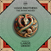 The Snake Moves (Laroz Remix) - Vooz Brothers&Laroz