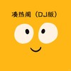 凑热闹 (DJ版) - DJ.SmartD