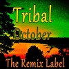 The Final Day (Tribal Techhouse Mix) - Heathous