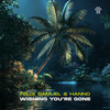 Wishing You're Gone - Felix Samuel&Hanno