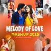 Melody Of Love Mashup - Swaraj Komejwar&Arijit Singh&Amit Trivedi&Jasleen Royal&B Praak