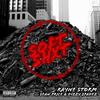 Soft Shxt (feat. Sean Price & Dizzy $padez) (Explicit) - Rayne Storm&Sean Price&Dizzy $padez