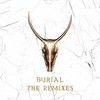 Burial (Skrillex & Trollphace Remix) - Yogi