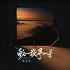 敬一敬寻一寻 - 杜天宇