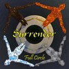 The Silence Says it All - Surrender