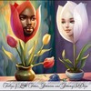 Tulips - See See Beats&LA Times&Jenniva&JIMMYSODOPE