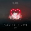 Falling in Love - Dpm