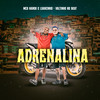 Adrenalina (Explicit) - Mcs Nando and Luanzinho&Valtinho No Beat