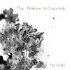 Mutual(Instrumental) (纯音乐) - The Broken Orchestra