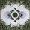Bichinho na Mata (Temple Step Project Remix) - Raio&Temple Step Project