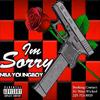 Im Sorry (feat. Top) (Explicit) - jaiden!'s hard drive.&Top