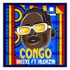 Congo (feat. Hlokzin) - BreeXe&Hlokzin