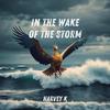 In the Wake of the Storm - Harvey K