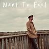 Want To Feel - Louie Jenga&Thorin