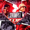 Sem Sentimento (Explicit) - MC GH do 7&Love Funk&Dj Alba&MC Luuky