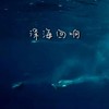 深海回响 - 陈雨薇