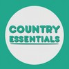 Troubadour (Album Version) - George Strait