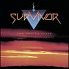 Didn't Know It Was Love - Survivor