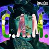 C.A.M. (Explicit) - Singlecell