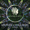 Aniki - Erdi Irmak&Noble Spirits