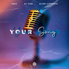 Your Song - 2Shy&DJ TANI&Elise Lieberth