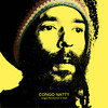 Revolution In Dub (DJ Madd Remix) - Congo Natty