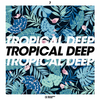 We Used To Have It All (Radio Mix) - Chris Odd&Jess Hayes