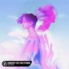 Somebody That I Used To Know - Leddo&Halüna