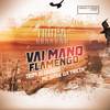 VAI MANO FLAMENGO (Remix) - Tropa do grandao&DJ ANÔNIMO 73&Mc Rose Dá Treta