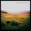 Introspection - Carl Borg
