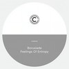 Feelings of Entropy - Borusiade