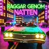 RAGGAR GENOM NATTEN - Duo Gamerz