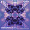 Fading Lights - Monika&Akuratyde