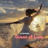 Ocean Of Love (Radio Mix) - Dj Beachshaker