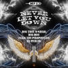 Never Let You Down (feat. Big Tree #4Real, Big Mic, Jsun The Prophesor & DJ Berlin) - Def-i&Big Tree #4Real&Big Mic&Jsun The Prophesor&DJ Berlin